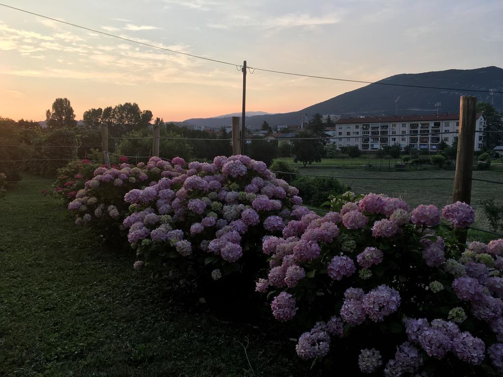 Apartment Nova Gorica - Nocitve Falco ภายนอก รูปภาพ