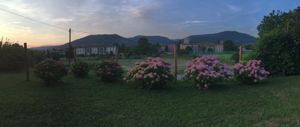 Apartment Nova Gorica - Nocitve Falco ภายนอก รูปภาพ